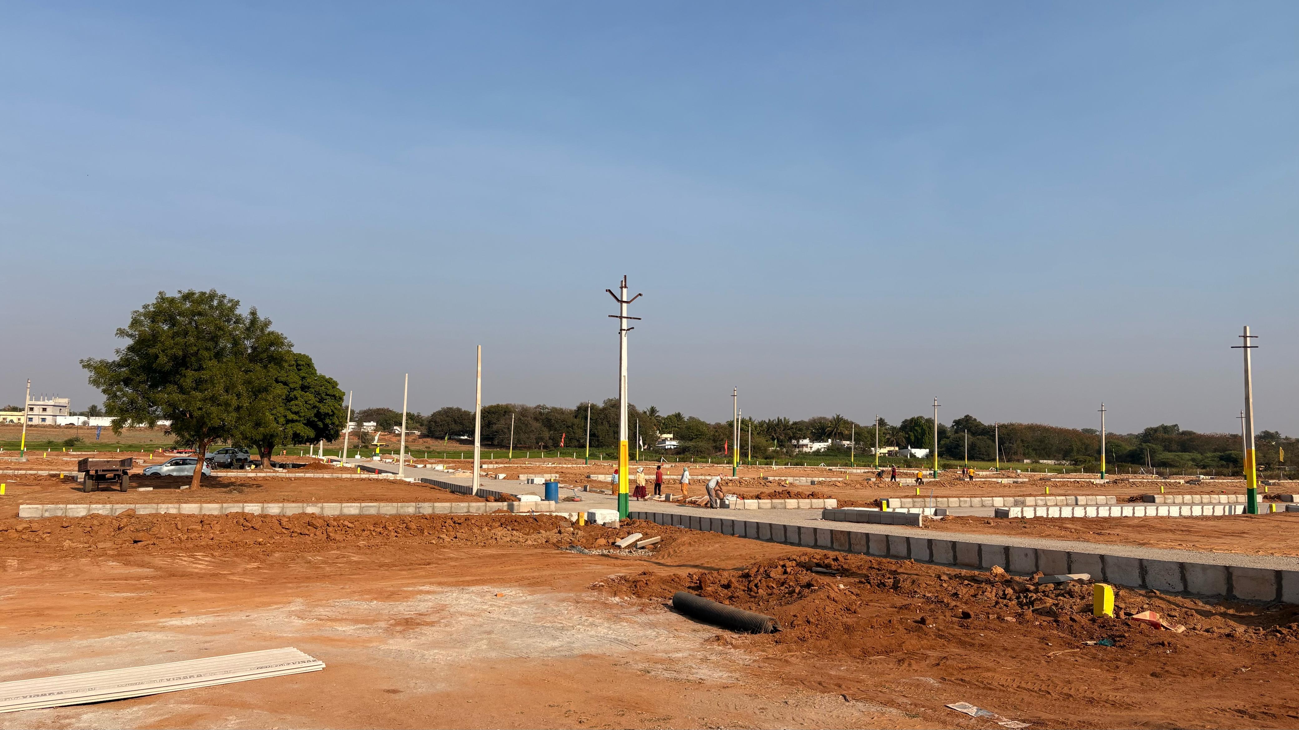 BBG TRUE PLATINUM BURGULA