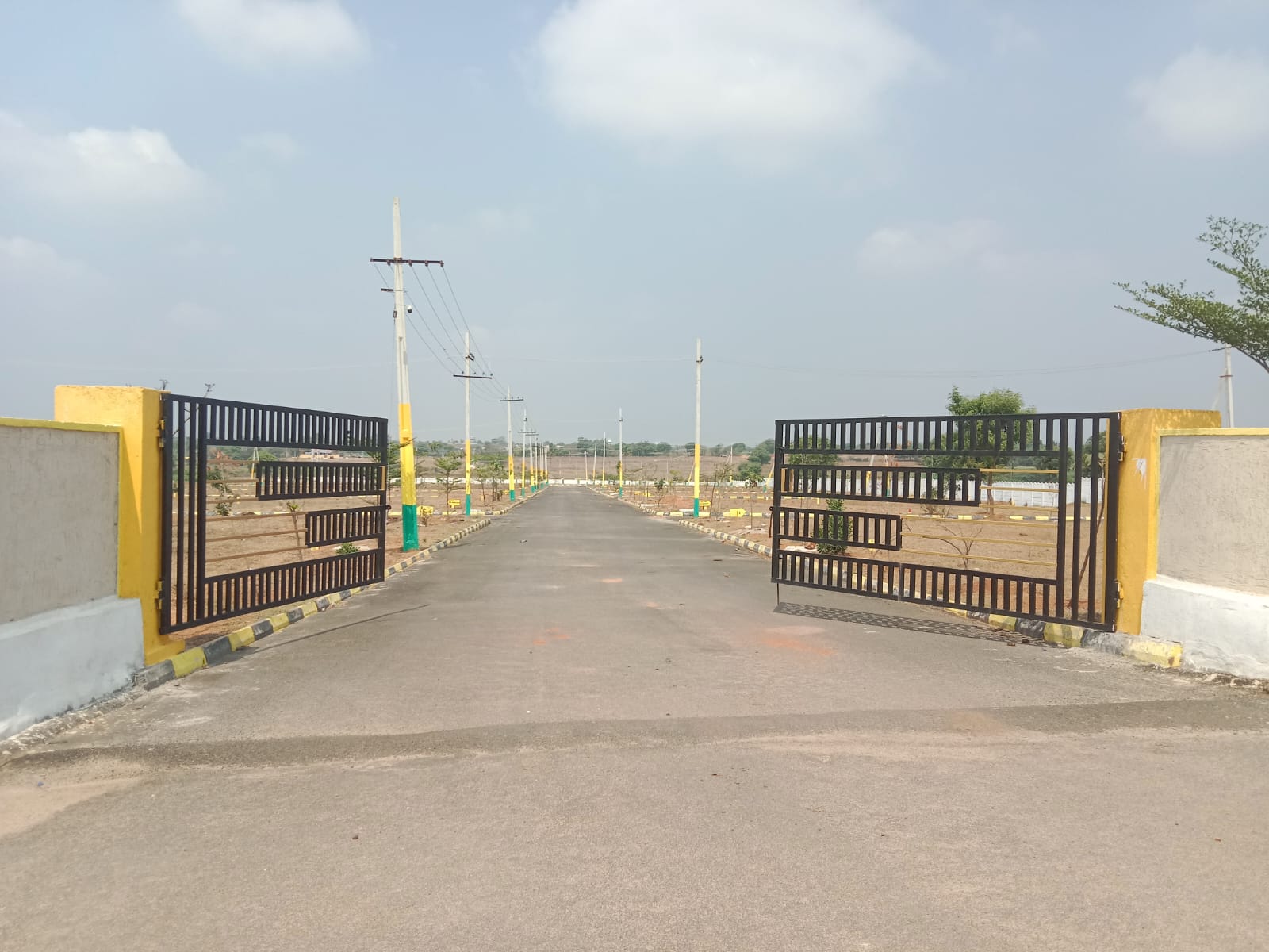 BBG TRUE SAPPHIRE BURGULA