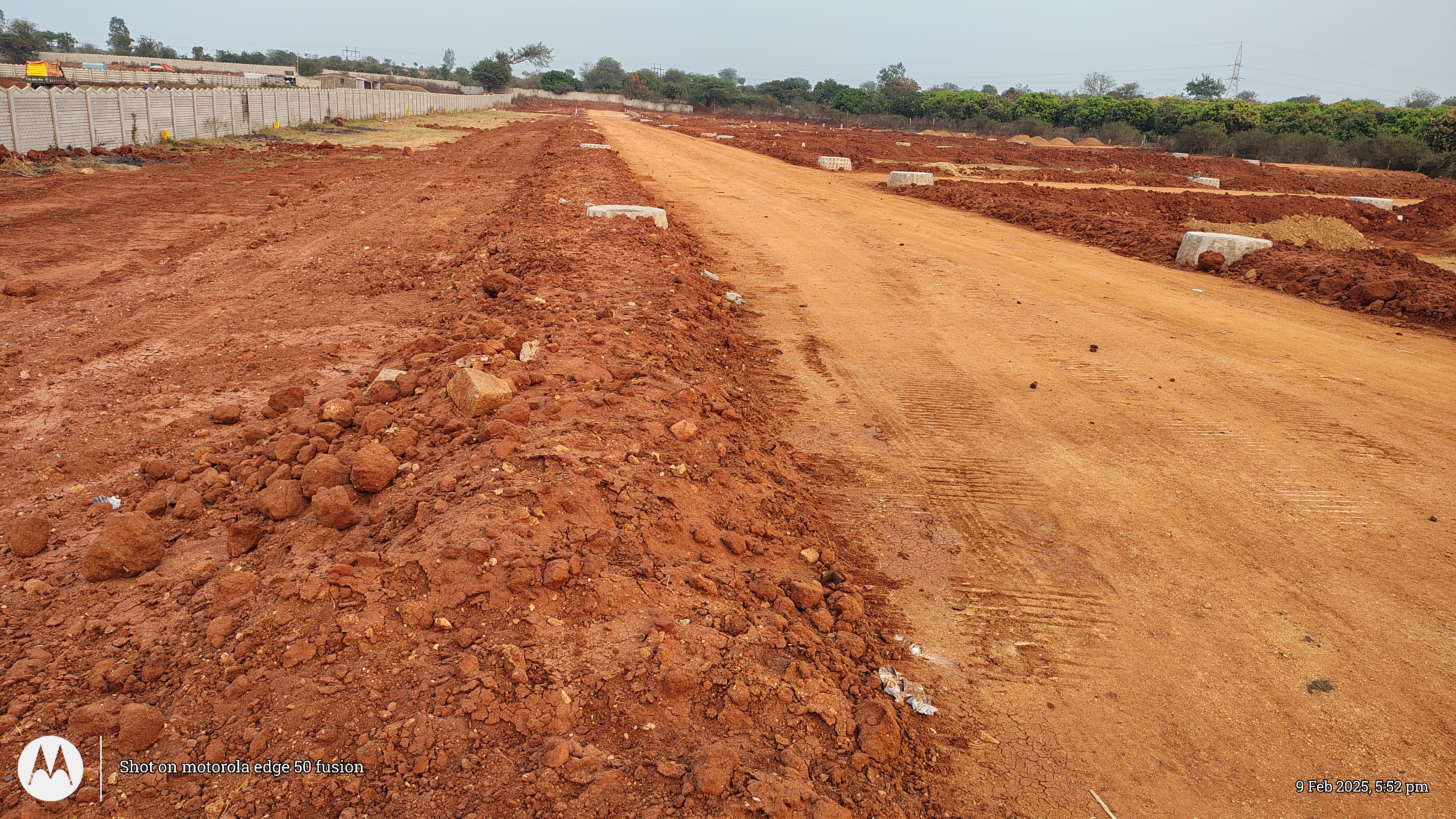 BBG TRUE EMERALD BURGULA